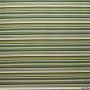 Outdoor Sunproof Stripes Lime
