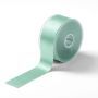 Satin ribbon 38 mm mint #PR982840
