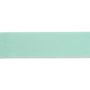 Satin ribbon 38 mm mint #PR983840
