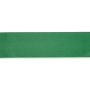 Satin ribbon 38 mm green #PR983843