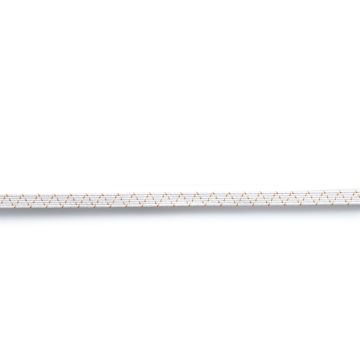 Standard-Elastic 5 mm white #PR910010