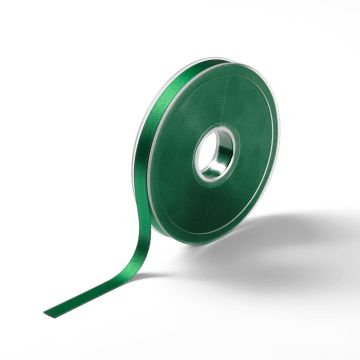 Satin ribbon 10 mm green #PR982443