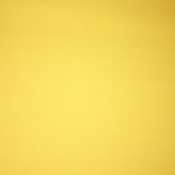 Heavy brushed jogging fabric yellow