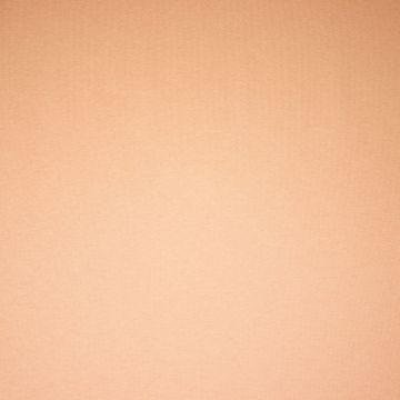 Jogging heavy brushed apricot