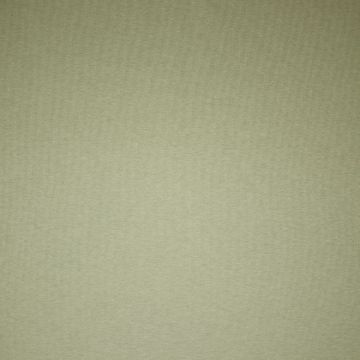 Heavy brushed jogging fabric moss green