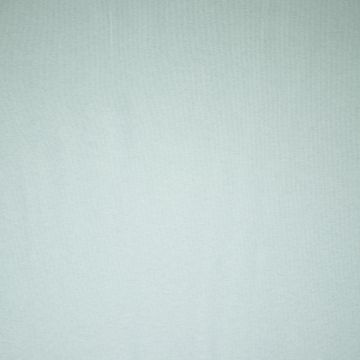 Heavy brushed jogging fabric mint