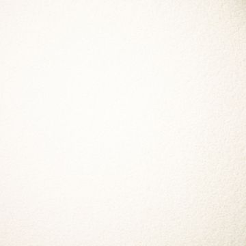 Teddy fabric cream