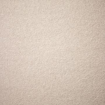 beige teddy borg fabric