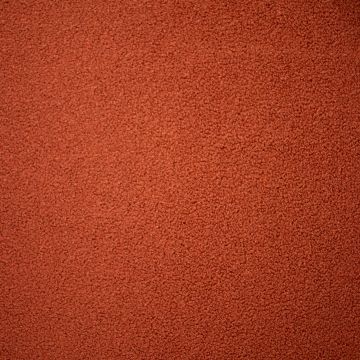 teddy borg fabric brick red