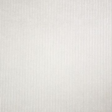 Interior Corduroy 4.8 Wales Silver