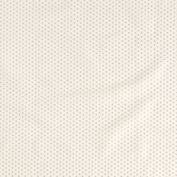 Poplin Silver Print Little Star