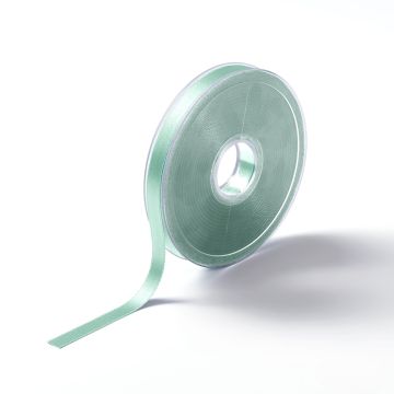 Satin ribbon 10 mm mint #PR982440